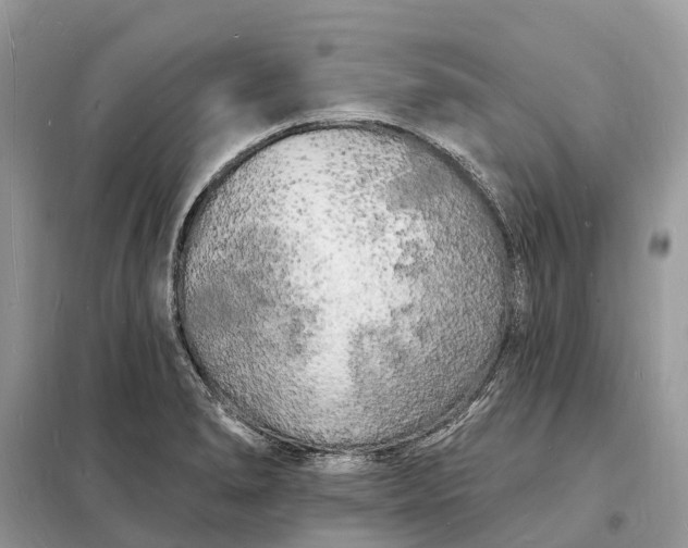 X0000098231278200805081213