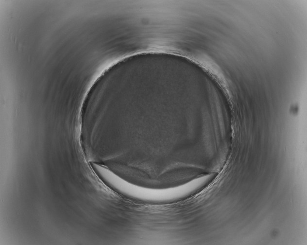 X0000098231280200805081213