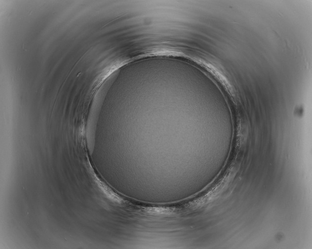 X0000098231281200805081213