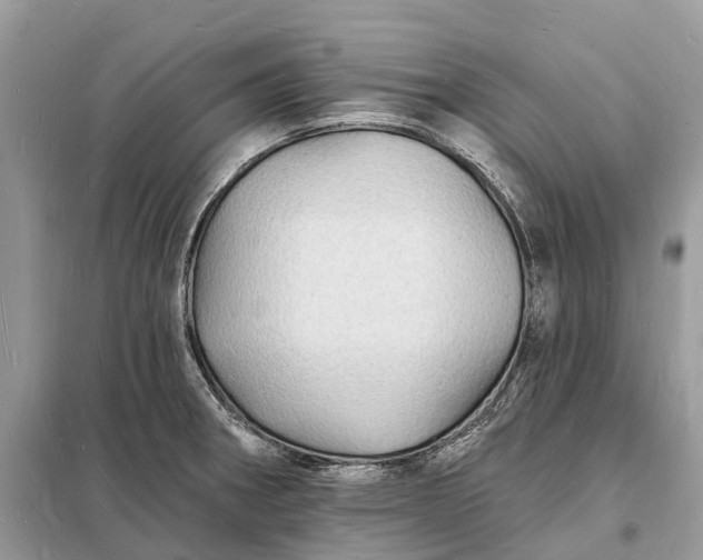 X0000098231282200805081213
