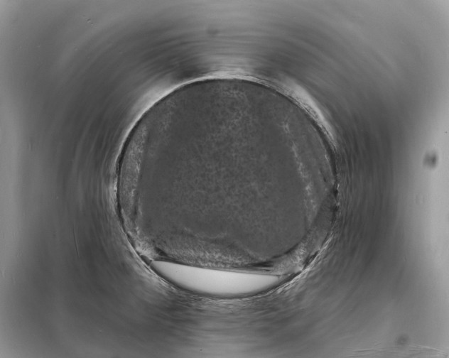 X0000098231284200805081213