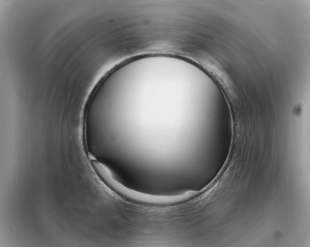 X0000098231288200805081213