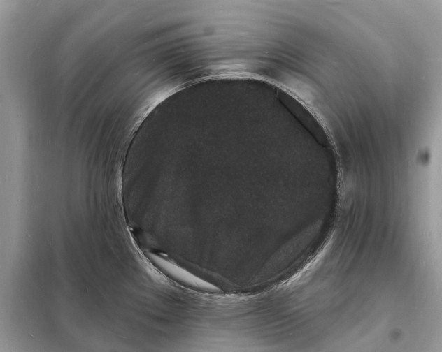 X0000098231289200805081213