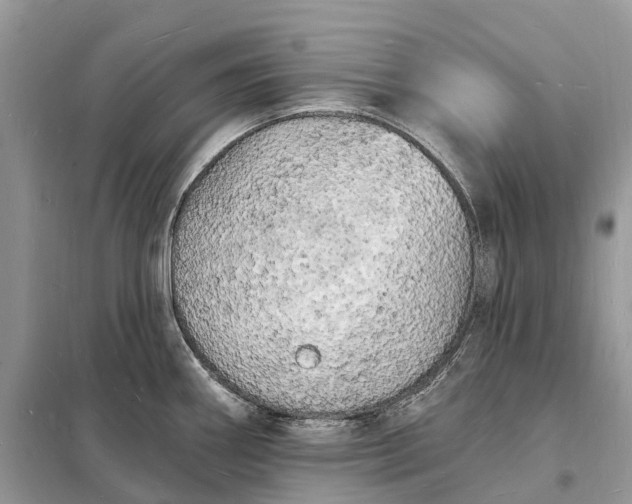 X0000098231290200805081213