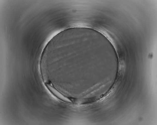 X0000098231293200805081213