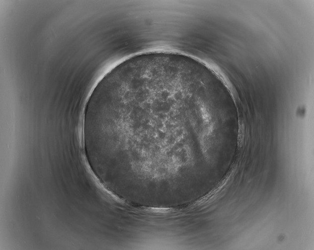 X0000098231295200805081213