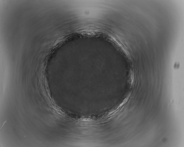 X0000098231297200805081212