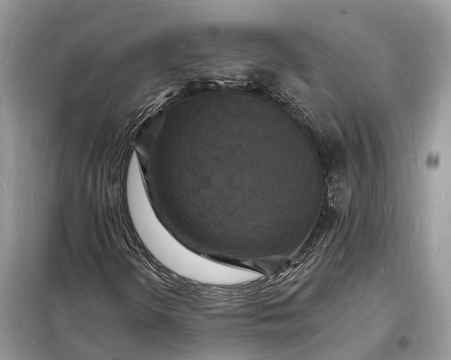 X0000098231298200805081212