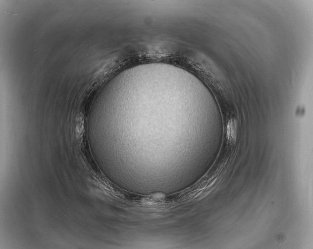 X0000098231299200805081212