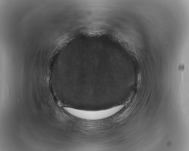 X0000098231300200805081212