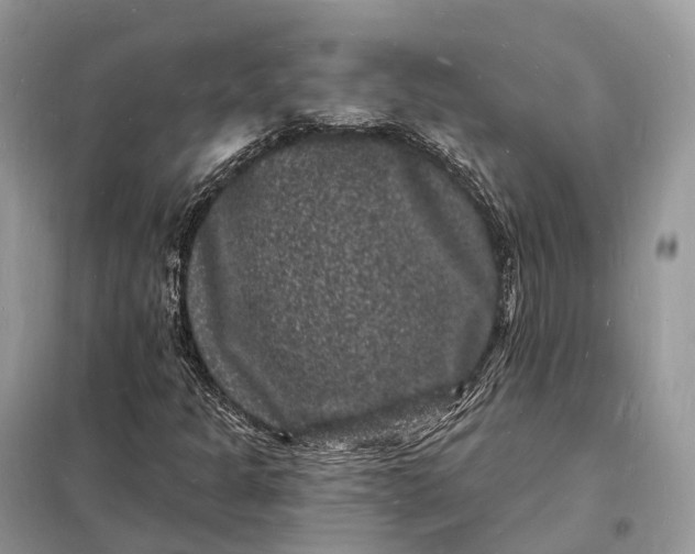 X0000098231301200805081212
