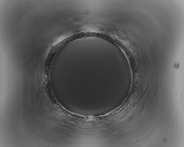 X0000098231303200805081212