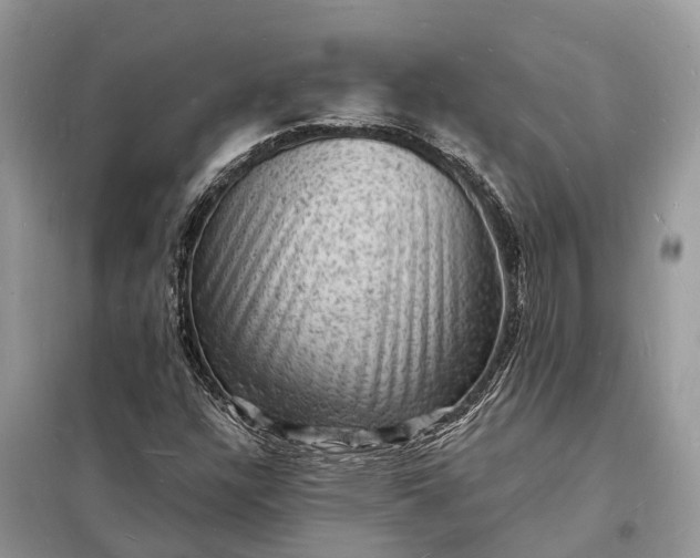 X0000098231304200805081212