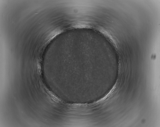 X0000098231305200805081212
