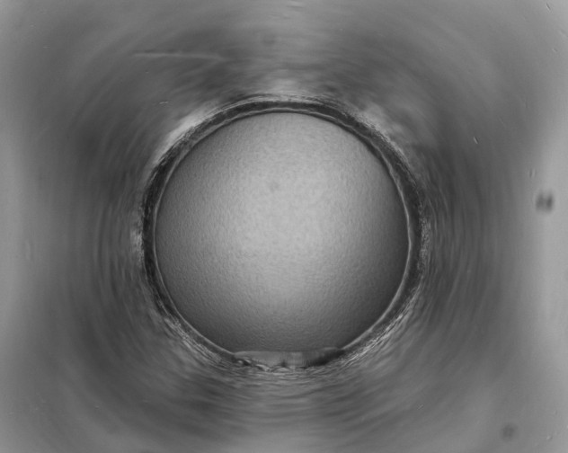 X0000098231307200805081212