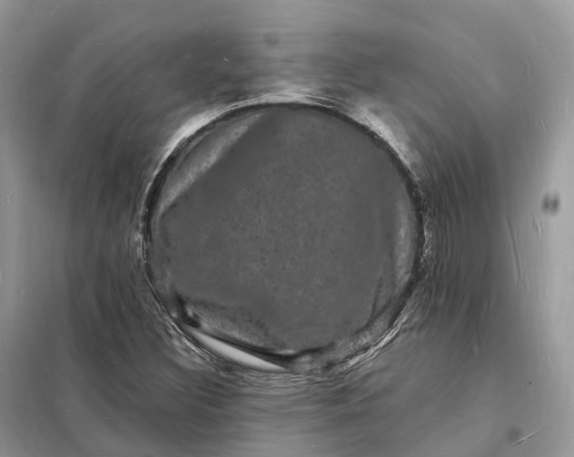 X0000098231308200805081212