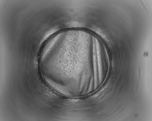 X0000098231309200805081212