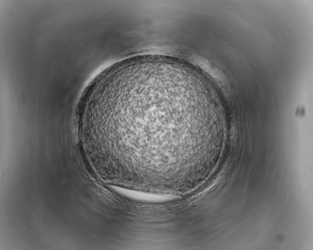 X0000098231310200805081212