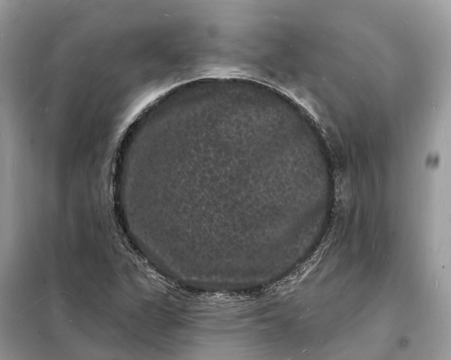 X0000098231311200805081212