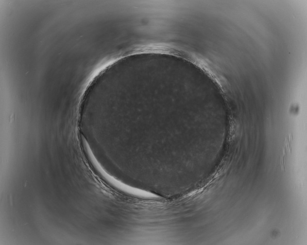 X0000098231312200805081212