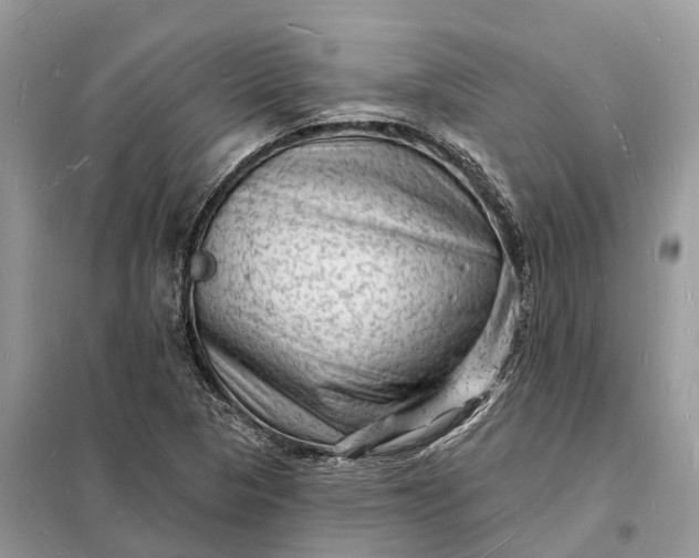 X0000098231313200805081212