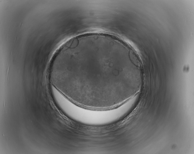 X0000098231318200805081213