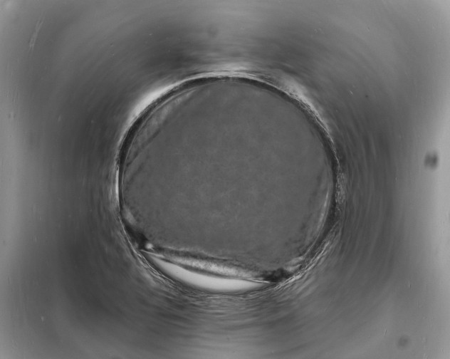 X0000098231320200805081213