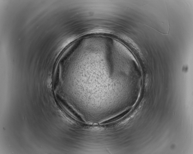 X0000098231321200805081213