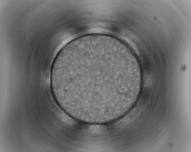 X0000098231322200805081213