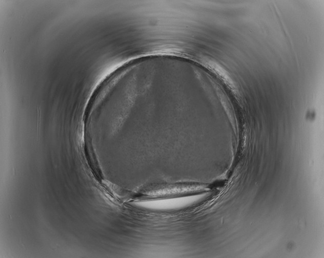 X0000098231324200805081213