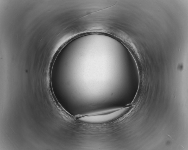 X0000098231328200805081213