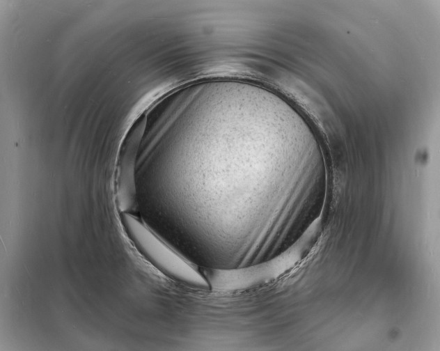 X0000098231330200805081213