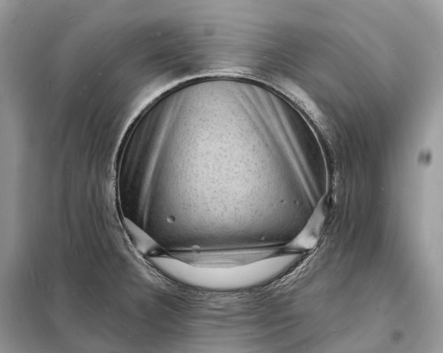 X0000098231332200805081213