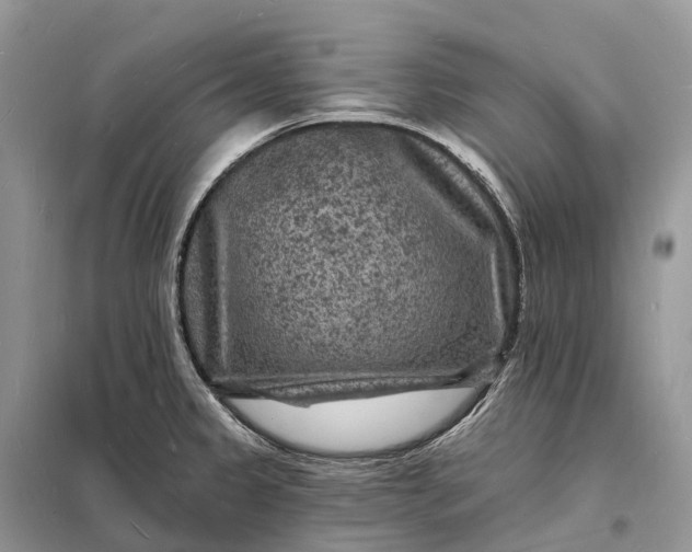 X0000098231333200805081213