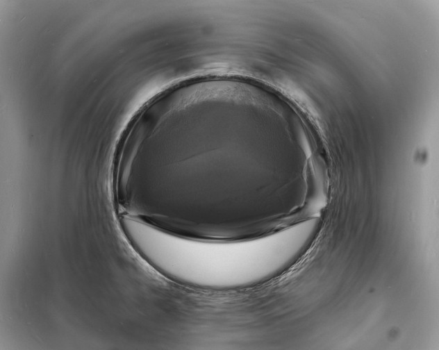 X0000098231334200805081213