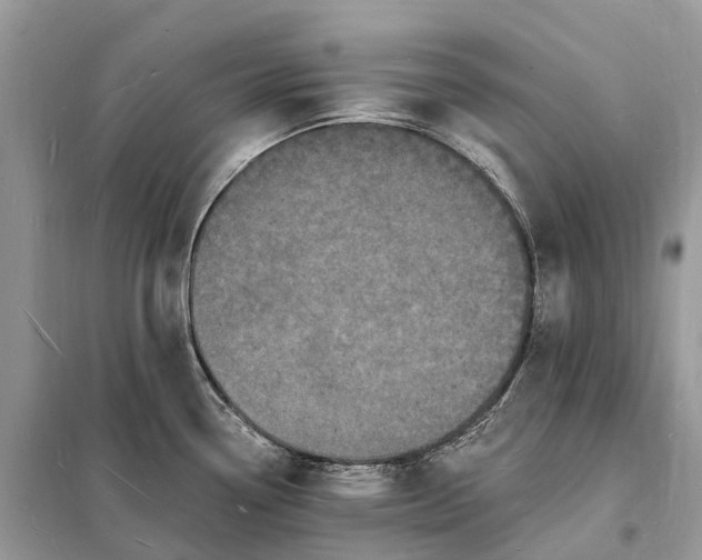 X0000098231338200805081213