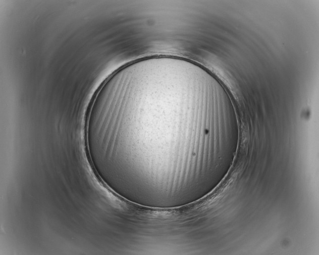 X0000098231339200805081213