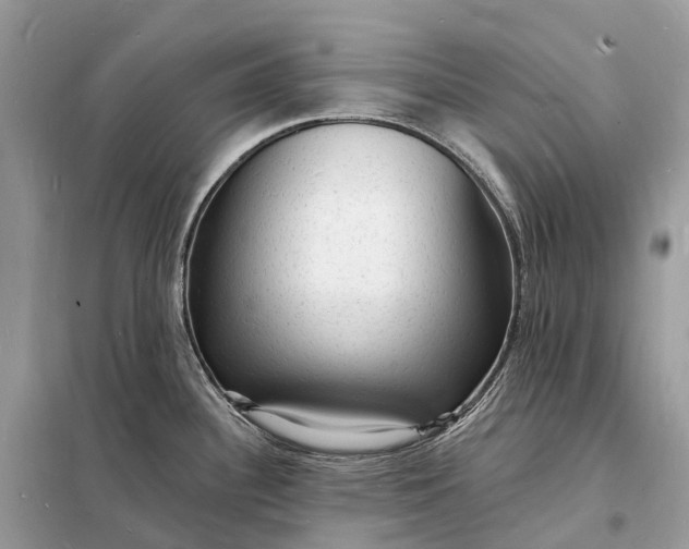 X0000098231340200805081213