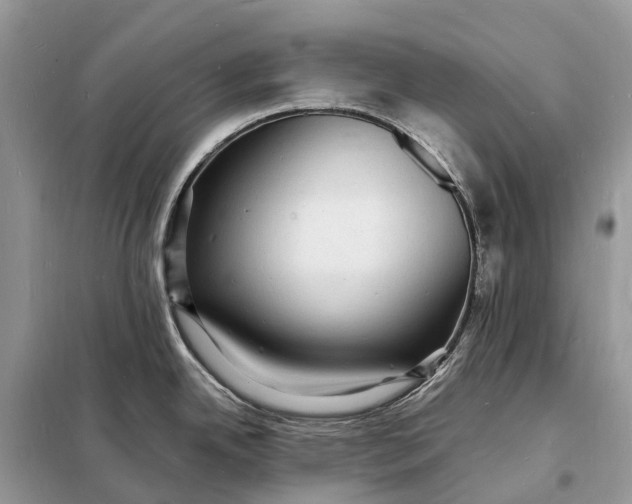 X0000098231342200805081213