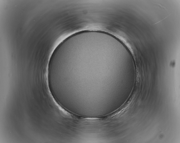 X0000098231343200805081213