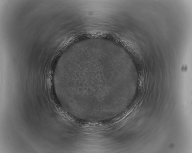 X0000098231346200805081212