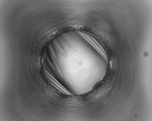 X0000098231347200805081212