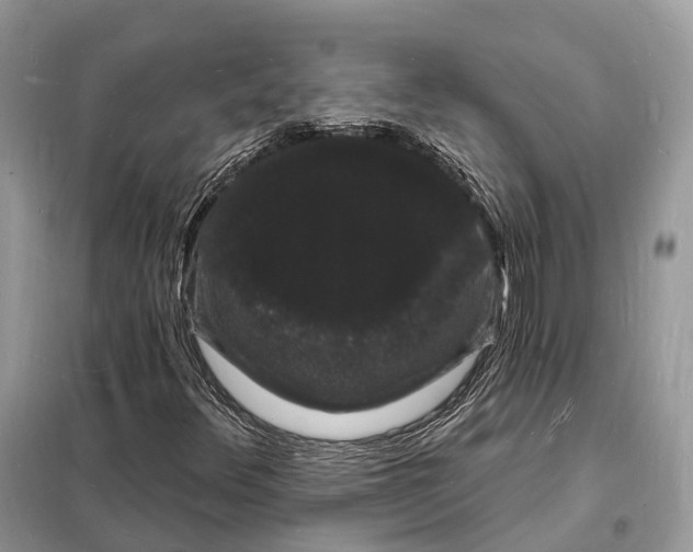 X0000098231348200805081212