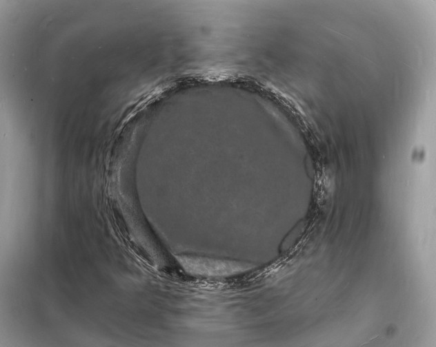 X0000098231349200805081212