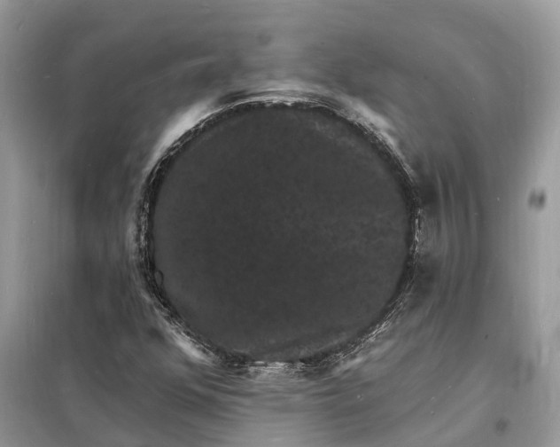 X0000098231352200805081212
