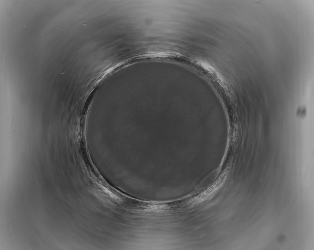 X0000098231353200805081212