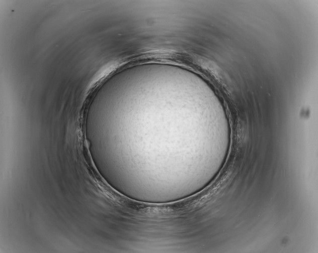 X0000098231354200805081212
