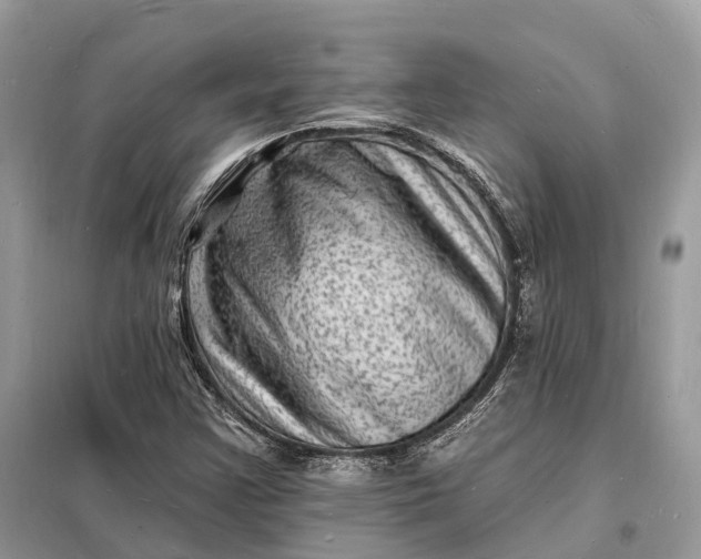 X0000098231355200805081212