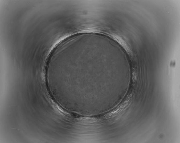 X0000098231356200805081212