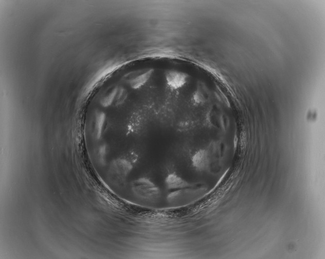 X0000098231359200805081212